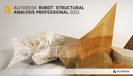 Autodesk Robot Structural Analysis Professional 2021 x64 Multilanguage + Extension